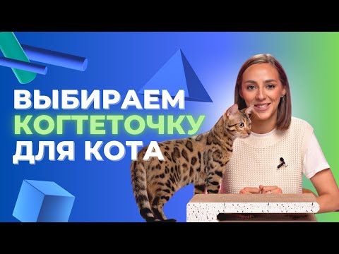 Видео: Как выбрать когтеточку? / Саша знает / Когтеточка и домик Dono Della