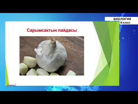 Видео: 8 класс - КГ - Биология - №1 - Киришүү. Адам организми жөнүндө жалпы түшүнүк
