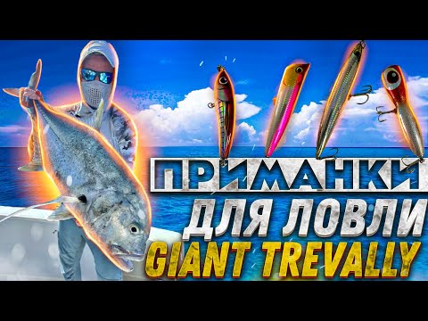 Видео: На что ловить  GT ?  Желтопёрый каранкс (Giant trevally)