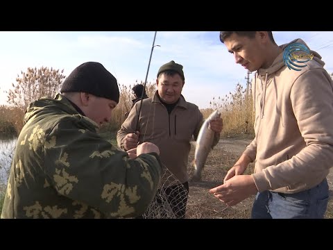 Видео: ХАНБАЛЫҚ / ОЛЖА / 20.11.2022