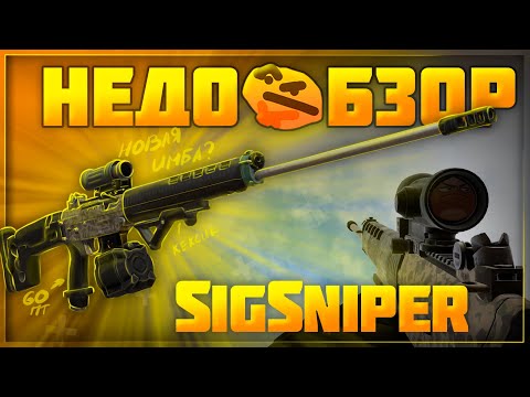 Видео: SIG SG 550 SNIPER - снова в строю? | Stalcraft