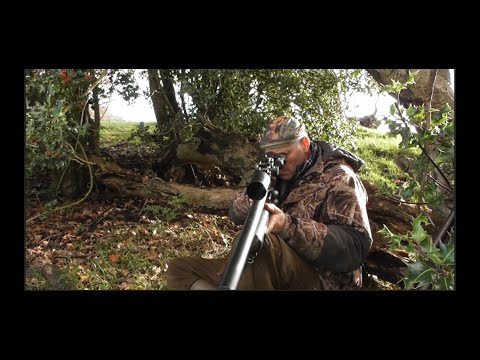 Видео: Лесная белка Control .22 FAC FX King