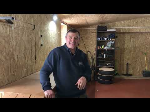 Видео: Занятие по апортировке. Новые ученики