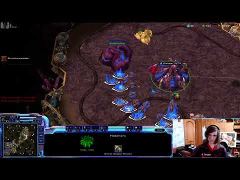 Видео: 🕷🕸💀 Сталкеровский, почему вы всё время ставите прок