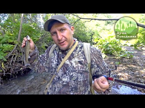 Видео: Рыбалка нашего детства. За мелочевкой на деревенскую речку. Кунджа, форелька, каменка.