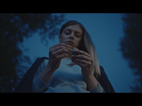 Видео: Аля Кудряшева "Я иду искать" - Дмитрий Брусникин и Всеволод Кузнецов