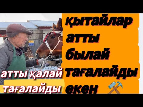 Видео: АТТЫ ҚАЛАЙ ТАҒАЛАЙДЫ 🔨 |  ҚЫТАЙЛАР АТТЫ БЫЛАЙ ТАҒАЛАЙДЫ ЕКЕН ⚒️           #at #horse #лошади #қытай