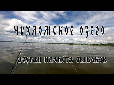 Видео: Рыбалка на Чухломском озере (день первый 9.07.23)