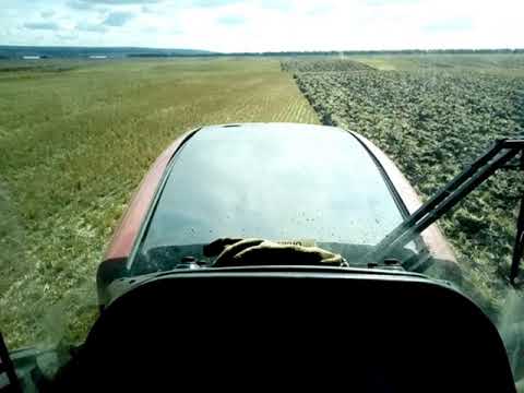 Видео: Рыхлим землю на РОСТСЕЛЬМАШ