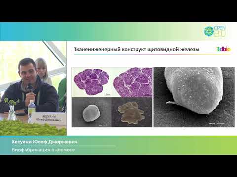 Видео: 27.09 Круглый стол: "БИОТЕХНОЛОГИИ ДЛЯ КОСМОСА"