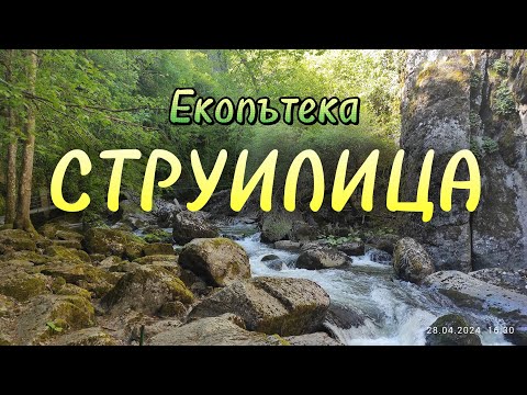 Видео: Екопътека Струилица плюс среща с една суетна змия