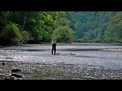 Видео: Рыбалка в Приморье. Река Журавлевка. Хариус, ленок. 19 - 23.07.2021 г. Часть 2.