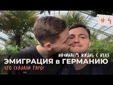 Видео: Получили одобрение немецких виз? Эмиграция с собакой и предсказания ТАРО