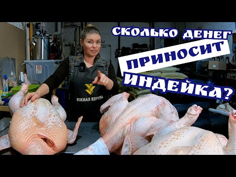 Видео: Вот это прибыль! САМАЯ ВЫГОДНАЯ ПТИЦА. Сколько можно заработать?