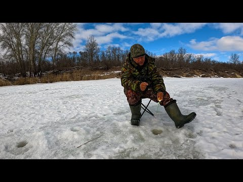Видео: Рыбалка 12 марта 2024 на речке!