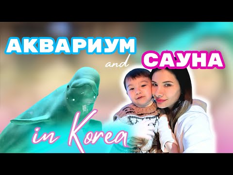 Видео: АКВАРИУМ С ДЕТЬМИ^^Сауна в Корее✨찜질방