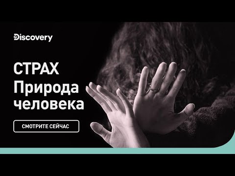 Видео: Страх | Природа человека | Discovery