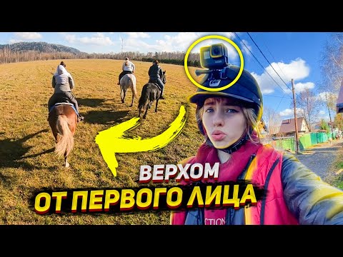 Видео: VLOG с полей ОТ ПЕРВОГО ЛИЦА верхом