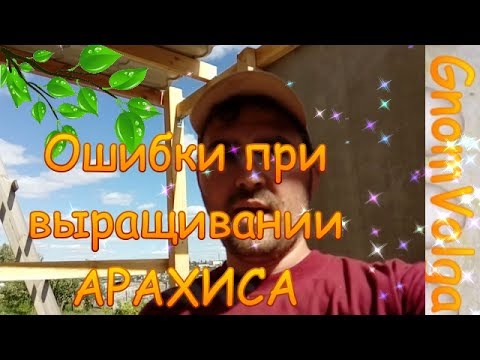 Видео: Ошибки при выращивании арахиса