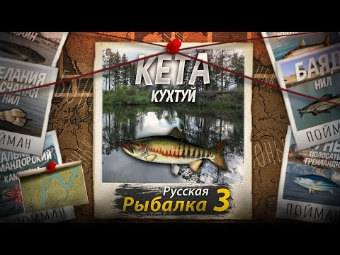 Видео: "Мутант" Кета. Кухтуй. Русская рыбалка 3.