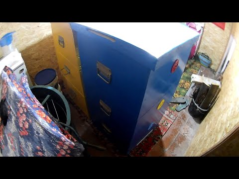 Видео: Деревянные улья дадан 12 рамок