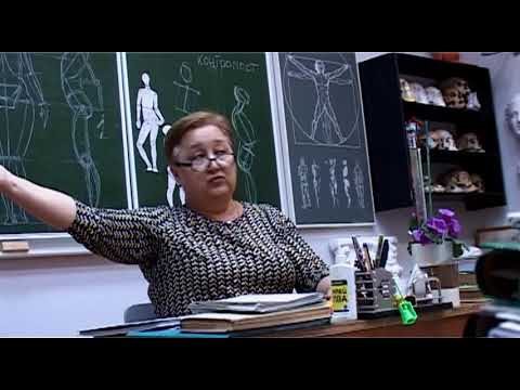 Видео: ПРОПОРЦИИ ФИГУРЫ ЧЕЛОВЕКА 812 Мб