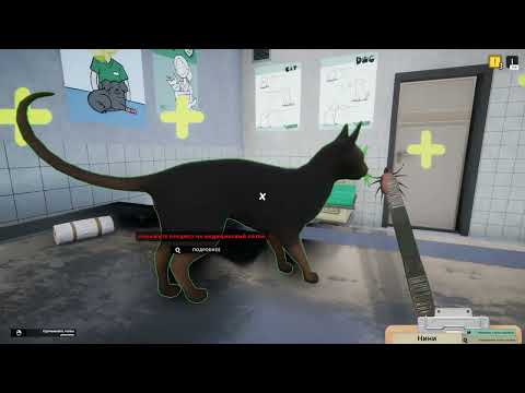Видео: ЛЕЧИМ КОТОВ В КЛИНИКЕ ( Animal Shelter )