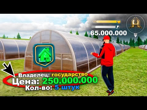 Видео: СЛЕТЕЛО 5 ОГОРОДОВ В РЯД, УРАА. С 0 до 150 МИЛЛИОНОВ. ПУТЬ БОМЖА #32 РАДМИР РП