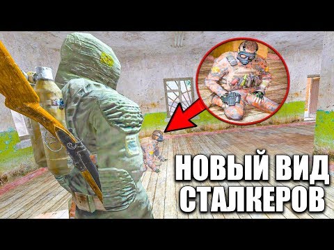 Видео: НОВЫЙ ВИД СТАЛКЕРА В S.T.A.L.K.E.R. ЗОЛОТОЙ ШАР. ЗАВЕРШЕНИЕ #12