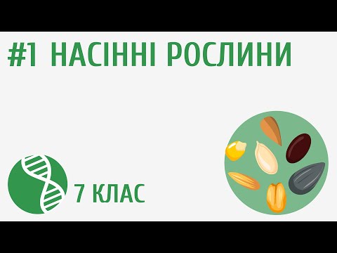 Видео: Насінні рослини #1