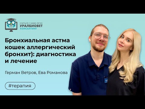 Видео: Бронхиальная астма кошек (аллергический бронхит): диагностика/лечение, лекторы Г.Ветров и Е.Романова