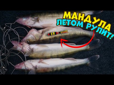 Видео: !!! ТОПОВАЯ МАНДУЛА НА СУДАКА !!! Ловля судака на мандулу, Судак