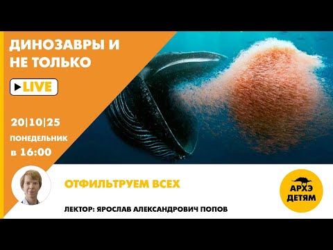 Видео: Занятие "Отфильтруем всех" рубрики "Динозавры и не только" с Ярославом Поповым