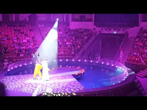 Видео: цирк саратов