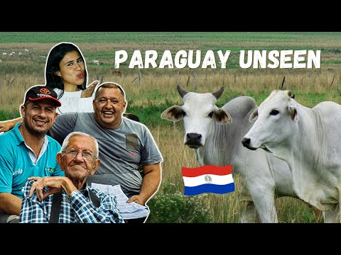 Видео: Вглубь сельской местности Парагвая! Вдали от туристических маршрутов