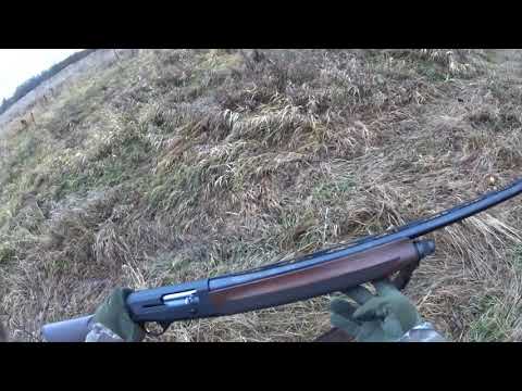 Видео: Поменял МР-155 на ... !!! Оно того стоит? Первый трофей