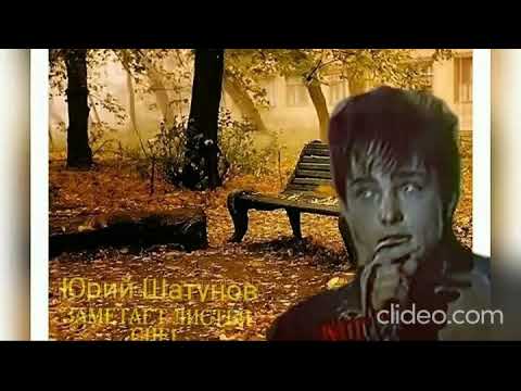 Видео: Юрий Шатунов - Заметает Листья Снег