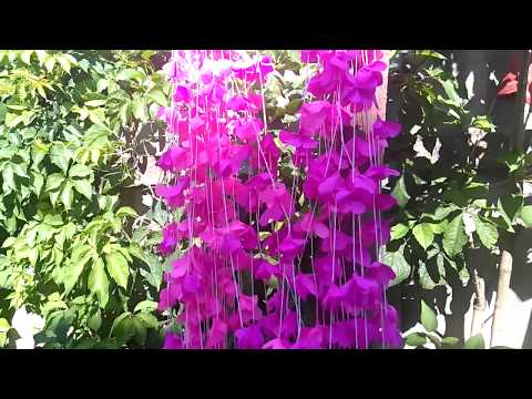 Видео: Цветочные гирлянды из бумаги тишью ( Floral garlands of paper silently ) 2