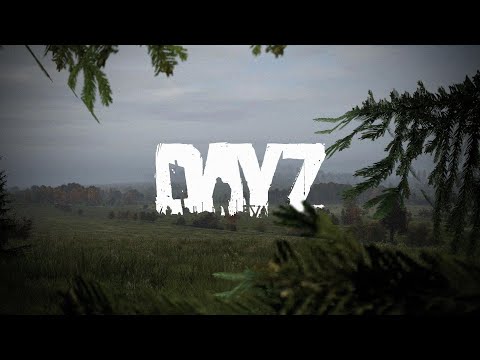 Видео: Учусь выживать в DayZ