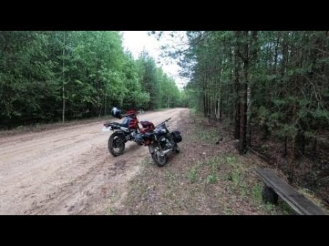 Видео: 3-4 июня 2023 г. Болото Огаринское, болото Омеловское.