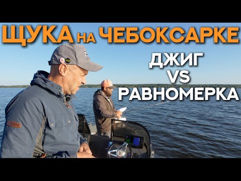 Видео: ЩУКА на Чебоксарке. Джиг или равномерка? Ловля щуки на Чебоксарском водохранилище.