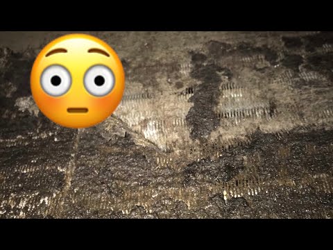 Видео: Чистка грязного испарителя! Вызов специалиста по обслуживанию систем отопления, вентиляции и конд...