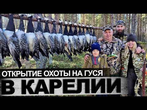 Видео: Охота на гуся в Карелии 2025
