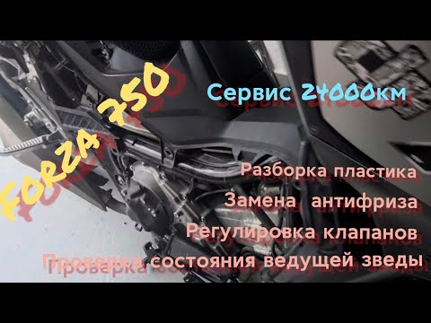 Видео: #Forza750 #Регулировка клапанов #Хонда Форза 750 сервис 24000км