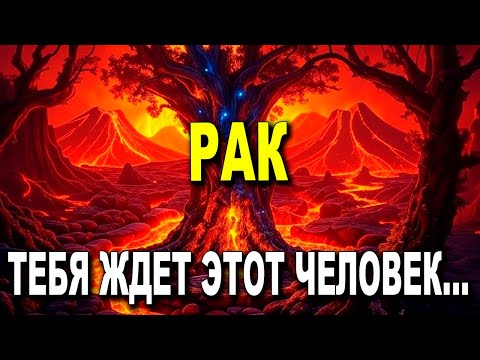 Видео: РАК ♋ ВАЖНО! ТЕБЯ ИЩЕТ РЕШИТЕЛЬНАЯ ДУША! 😮 ЧТО ЖДЕТ РАКА? ГОРОСКОП ЛЮБВИ СЕГОДНЯ 💕