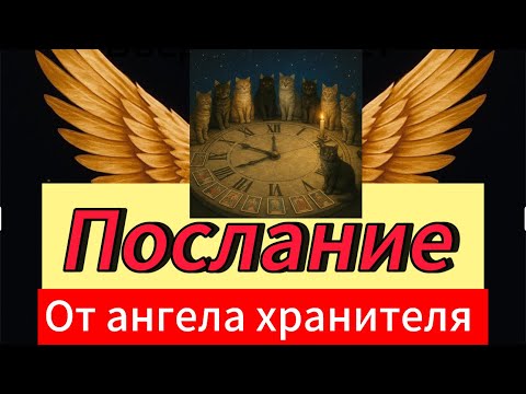 Видео: ТВОЙ АНГЕЛ-ХРАНИТЕЛЬ ЖДЁТ ЭТОГО РАЗГОВОРА! УЗНАЙ ЕГО ПОСЛАНИЕ ПРЯМО СЕЙЧАС