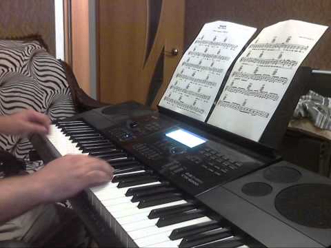 Видео: Медляк (MR. CREDO) на синтезаторе CASIO - CTK 6200