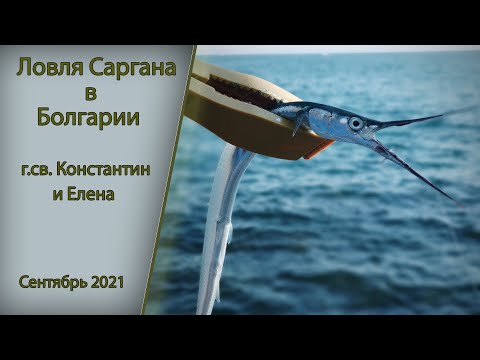 Видео: Ловля саргана  Болгария г. св. Константин и Елена. Сентябрь 2021