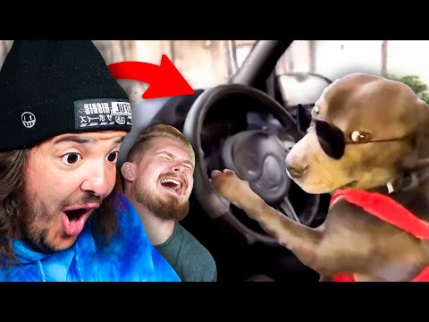 Видео: TikToks, которые заставили нас сказать "Что за хрень?"