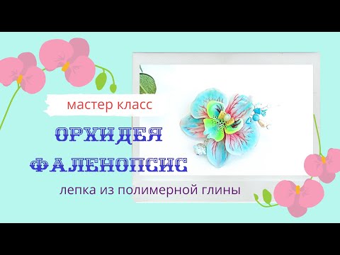 Видео: Мастер-класс лепка "Орхидея Фаленопсис"